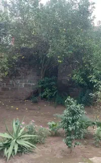 400 متر زمین برای مشارکت