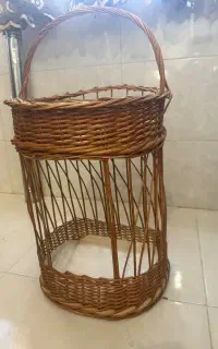 جای سیب زمینی پیاز