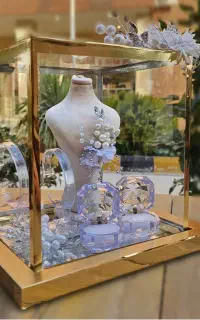 برای اولین بار درکرمان اجاره استند حلقه و جواهرات