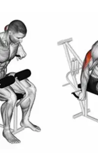 خدمات حجم بدن و کاهش