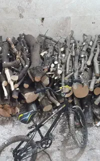 خرید انواع چوب