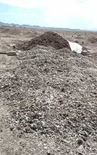 کود مرغی قفسی و کود گاوی