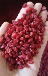 زرشک پفکی طبیعی