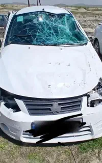 ساینا تصادفی