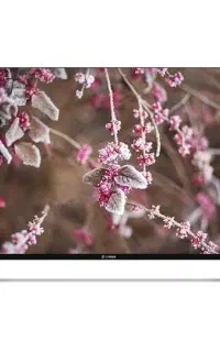 تلویزیون هوشمند اسنوا ۵۰ اینچ 4K مدل  50sa620u