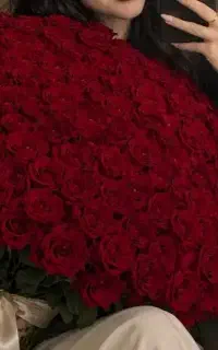 درست کردن عکس با پرامت دلخواه
