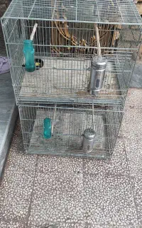 قفس پرنده