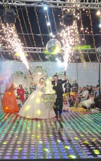 دیجی