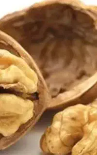 گردو پوست کاغذی