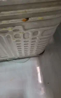 یخچال