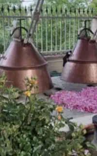 تور گردشگری کاشان