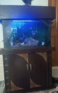 اکواریوم 80*50با کمد