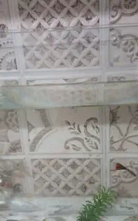 ماهی گپی