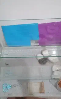 سیشه آکواریوم