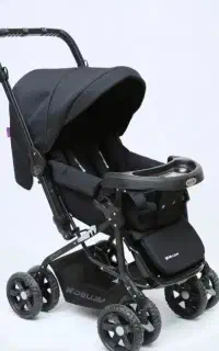 کالسکه دلیجان تشک دار