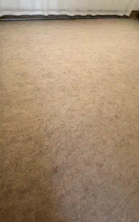 موکت