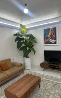 درخمنچه مصنوعی