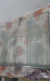 اکواریوم بزرگ