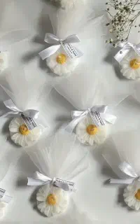 شمع