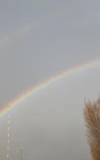 نظافت سرویس بهداشتی