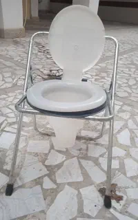 توالت فرنگی