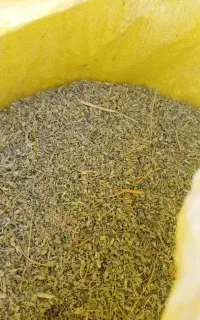 کاه یا برگ خارخاسک مخصوص عرق گیری