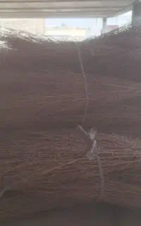جارو محلی