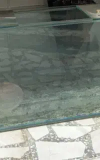 آکواریوم سالم