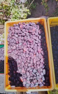 خرما کده شمارو درب منزل خریدارم