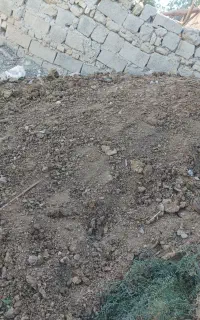 کود خالص