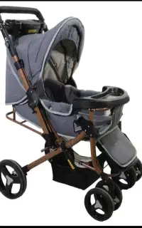 کالسکه ۲عدد