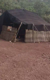 سیاه چادر