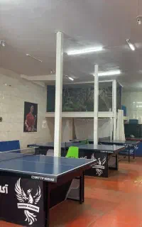 آموزشی پینگ پینگ از مقدماتی تا حرفه ای