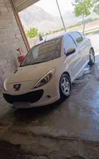 207