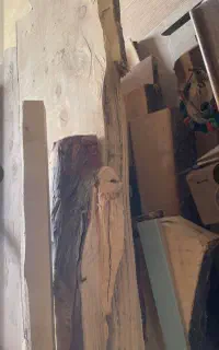 چوب کاج