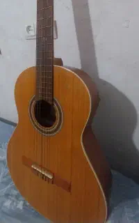 گیتار پارسی M5