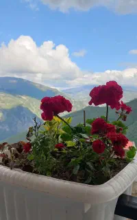ویلاچوبینه دوبلکس ونوساز درروستای توریستی پاقلعه