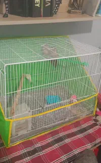 قفس پرنده بزرگ