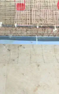 قفس اتوماتیک