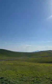 سرمایه گذار / سرمایه گذاری