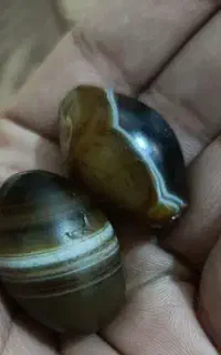 جفت برد حق کهنه کهنه