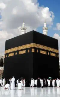 فیش حج