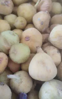 انجیر بدون مربایی درجه یک