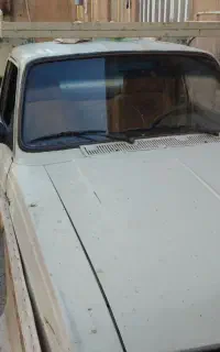 وانت