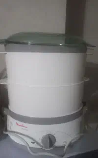 بخار پز مولینکس