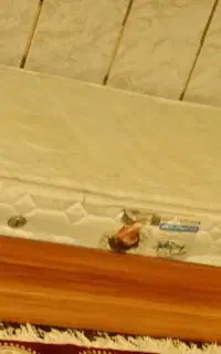 تخت
