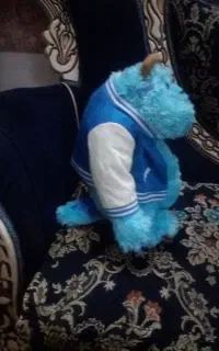 سلام عروسک