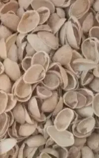 خرید و فروش پوست پسته