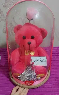 باکس شیشه عروسک