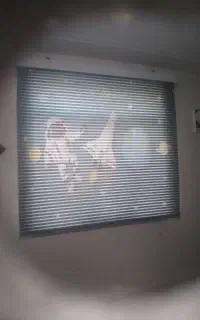 پرده زبرا